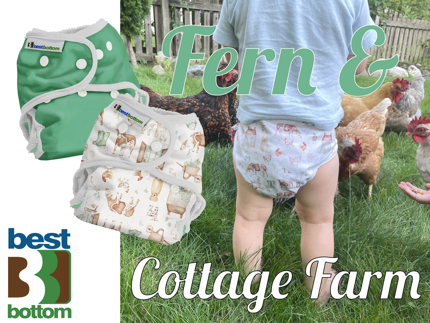 NEW - Limited Edition Covers